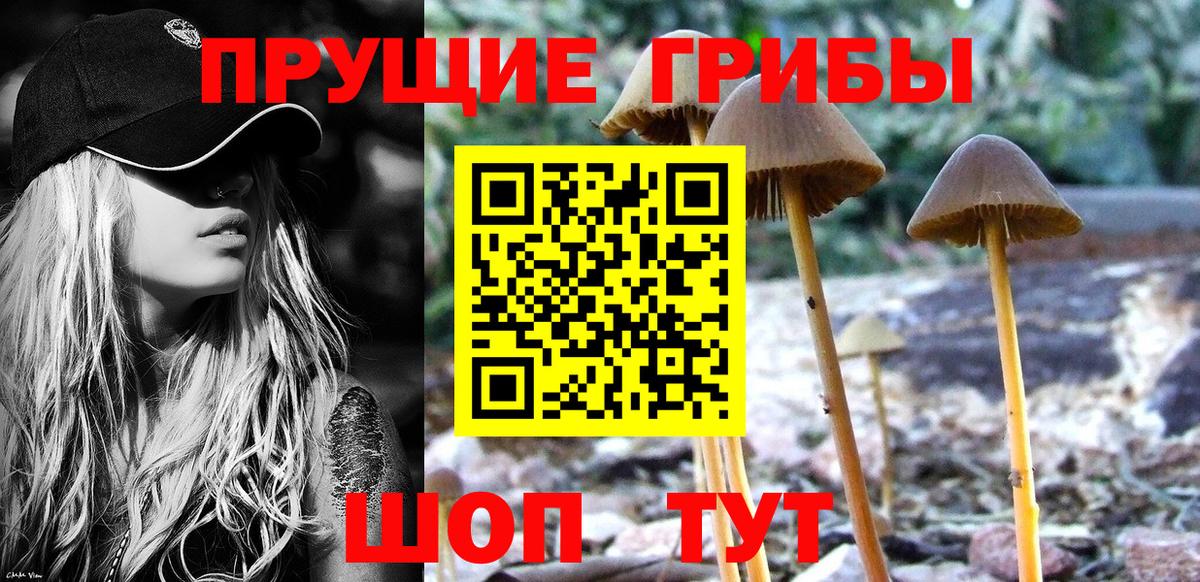 Галлюциногенные грибы мухоморы Каспийск
